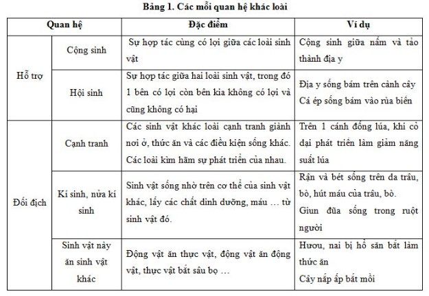 Đề cương ôn tập học kỳ 2 môn Sinh học lớp 9 cập nhật mới nhất năm học 2022 - 2023